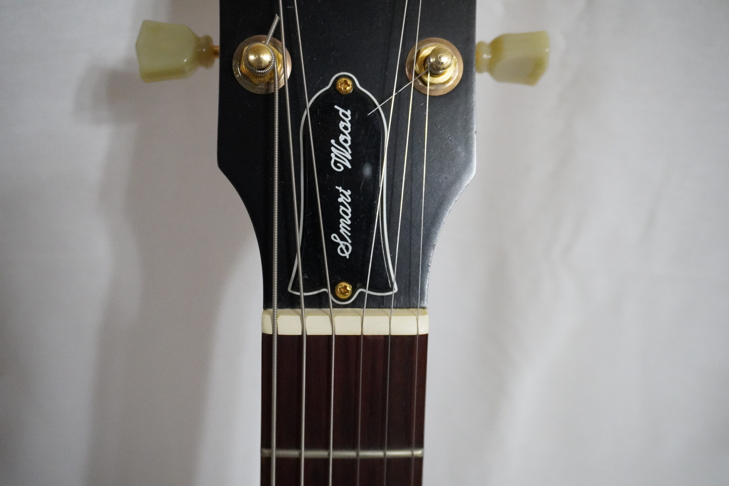 Gibson Smartwood Les Paul 2001年製 - 画像 (14)